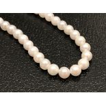 Akoya Pearls, 6.5 - 7.0 Mm