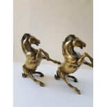 Rearing Brass Horses