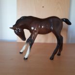 Beswick Foal