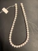 Freshwater Pearls