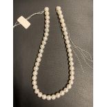 Freshwater Pearls