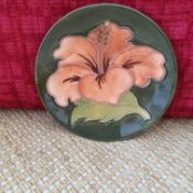 Moorcroft Hibiscus Plate