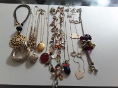 Costume Jewellery Pendants/Necklaces