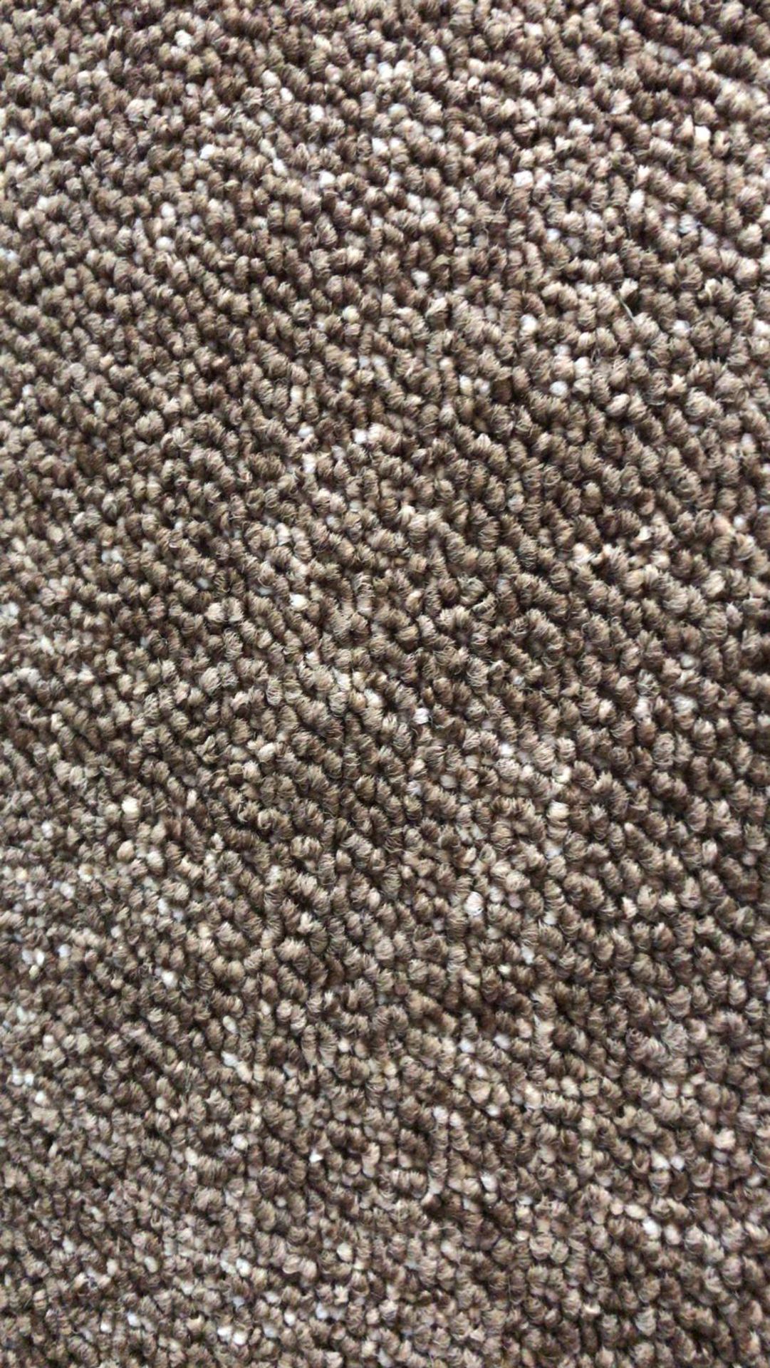 Sultan brown. 5.5x4m. Perfect home study office carpet.