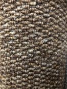 Venus Brown Loop Pile 4M X3M (13Ft X 9Ft 9In ) Polypropylene Code C52