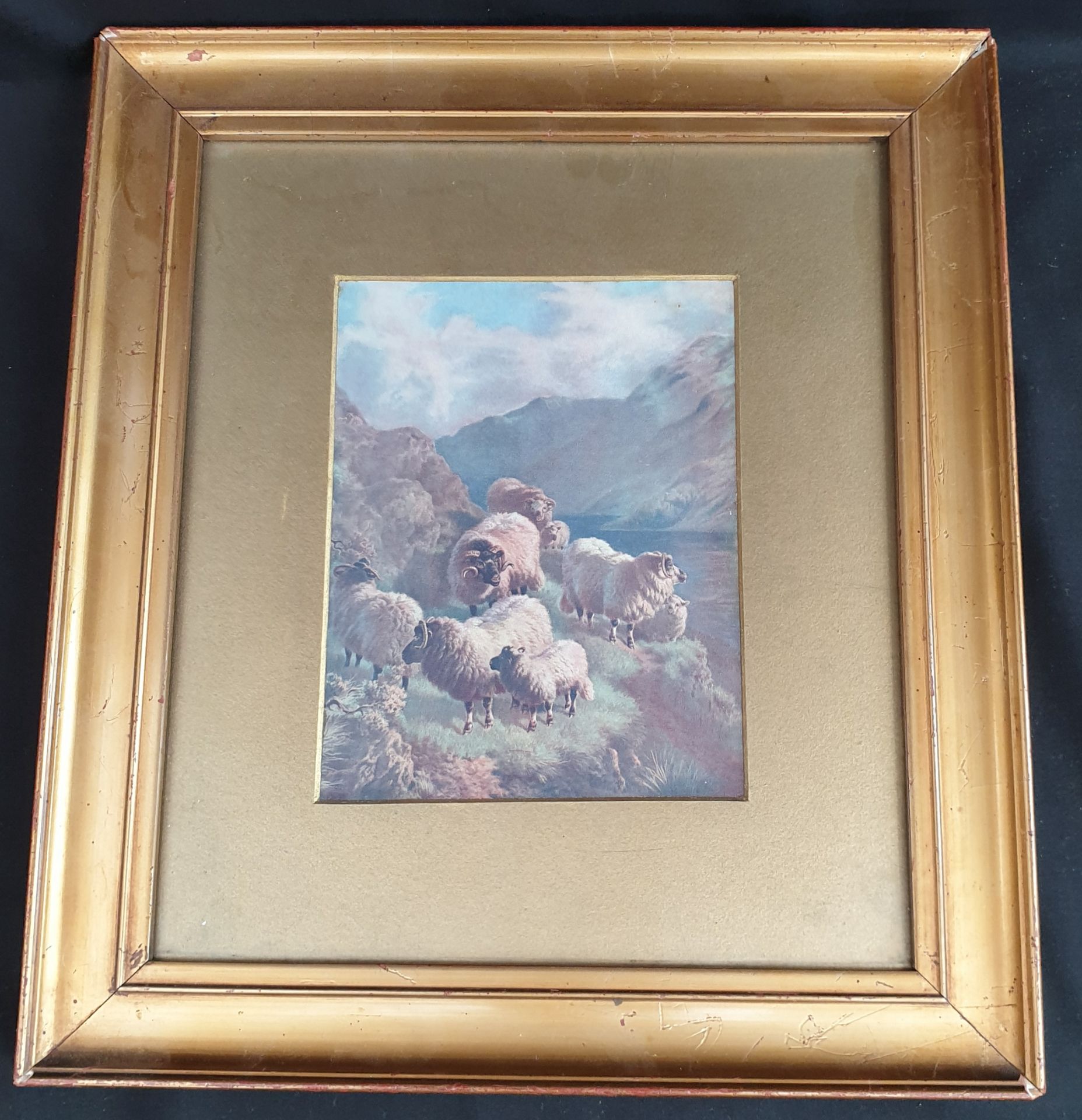 Antique Gilt Framed Print of Sheep on A Hillside.