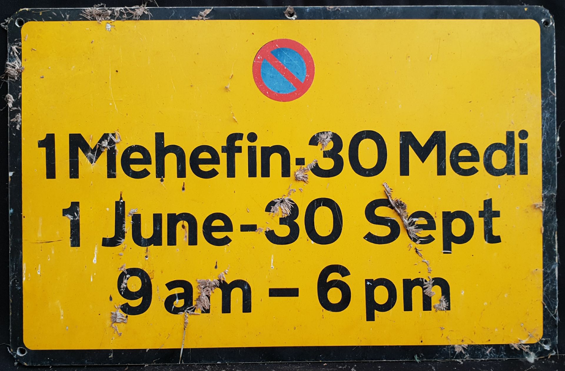 Vintage Welsh Road Sign No Parking 1st June to 30th September