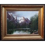 Collectable Framed Art Oil Painting on Board Terry Evans Mountain Landscape