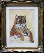 Tiger Watercolour Set in Gilt Frame