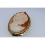 Stamped 750 Yellow Gold Cameo Broach And Pendant