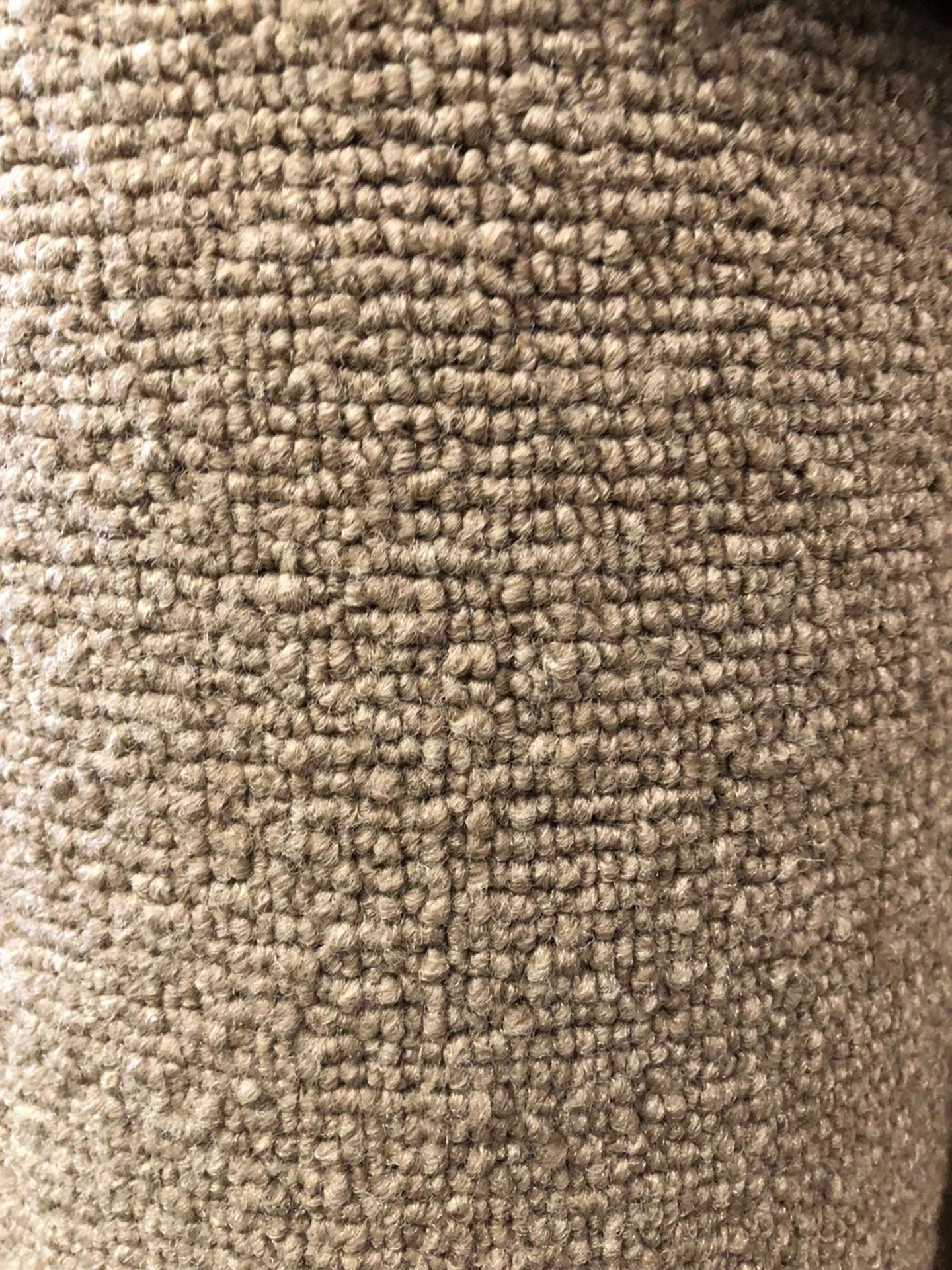 Oxford dark beige 4m x 4 m (13ftx13ft) loop pile polypropylene hessian Back