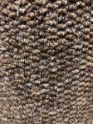 Mars brown 5m x 4m (16ft4in x 13ft) loop pile polypropylene feltback