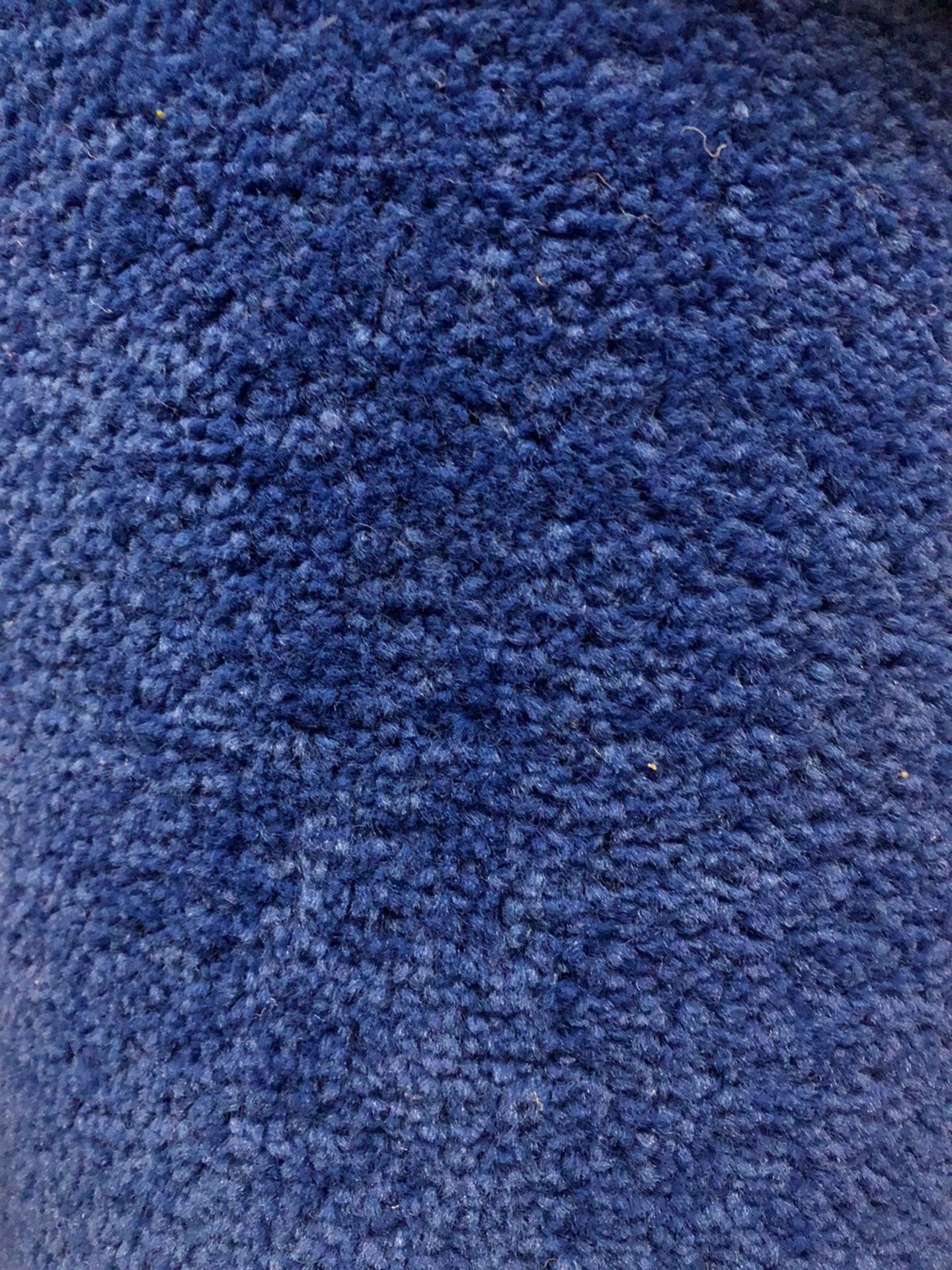 Vantage electric blue 4.2m x 4m (13ft 6in x 13ft ) twist pile polypropylene felt back - Image 2 of 2