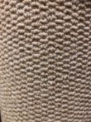 Mars pebble 7.3m x 4m(23ft x 13ft) loop pile polypropylene feltback