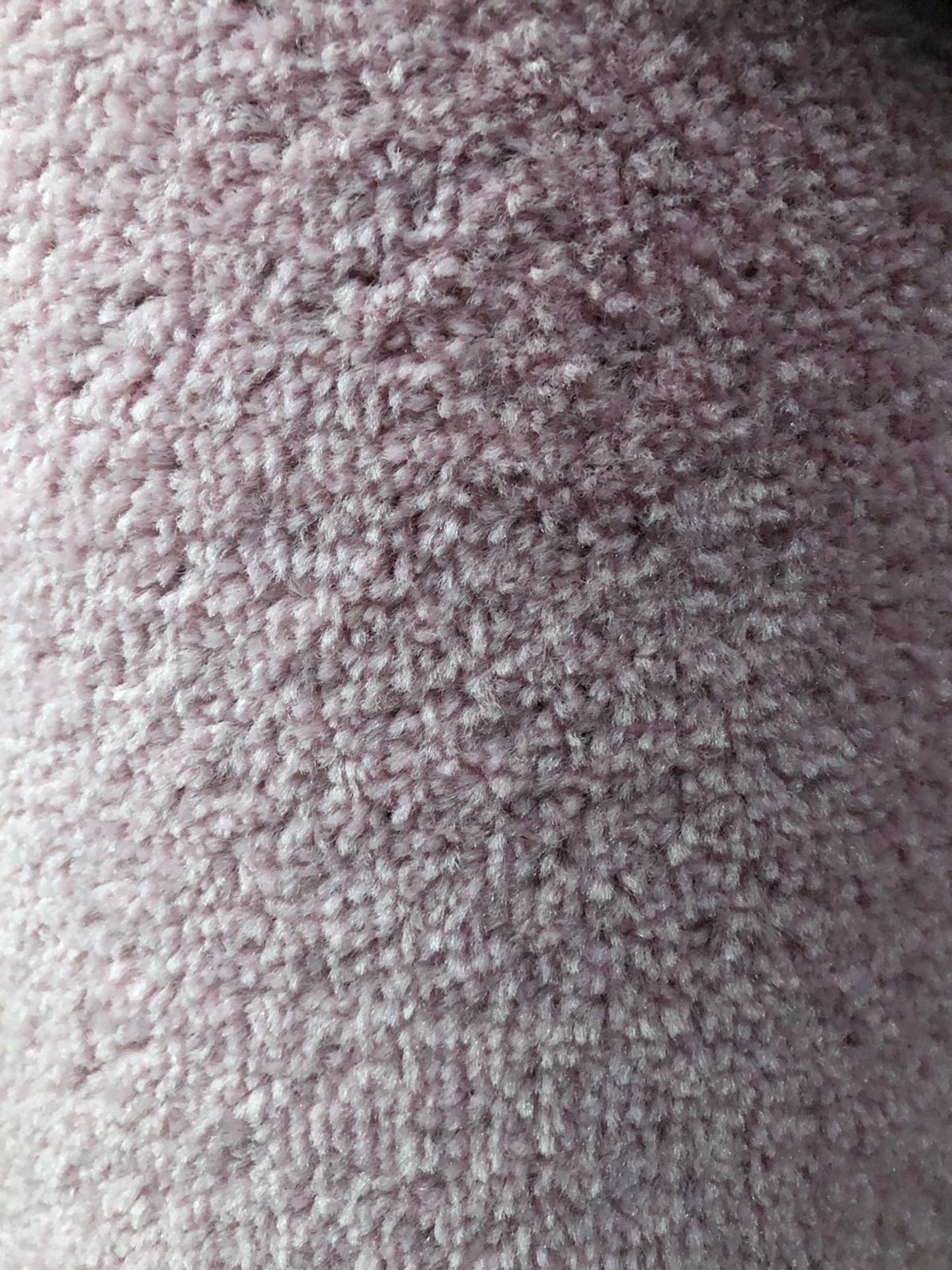 Dalton pink 5m x 4m ( 16ft 4in x 13ft twist pile polypropylene felt back