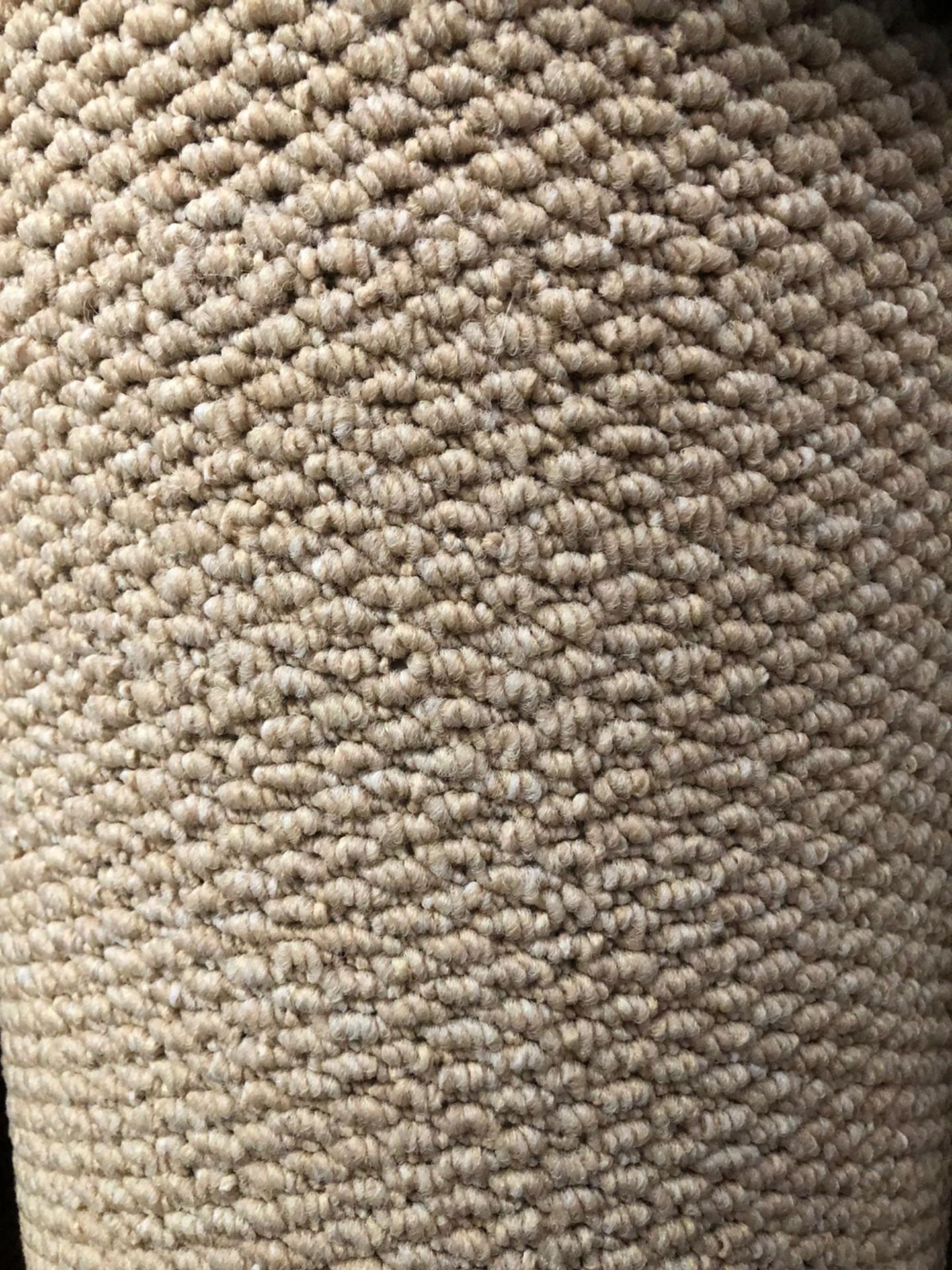 Regatta beige 6m x 4m (19ft 6in x 13ft ) loop polypropylene hessian back