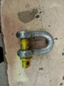 100 X 0.5 Ton Yellow Pin Screw Dee Shackles (Ypufspd0.5)