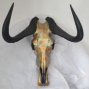 Bespoke Animal SKULL SCULPTURE 'ANEVAY' Sculpture by Scott Hendrie