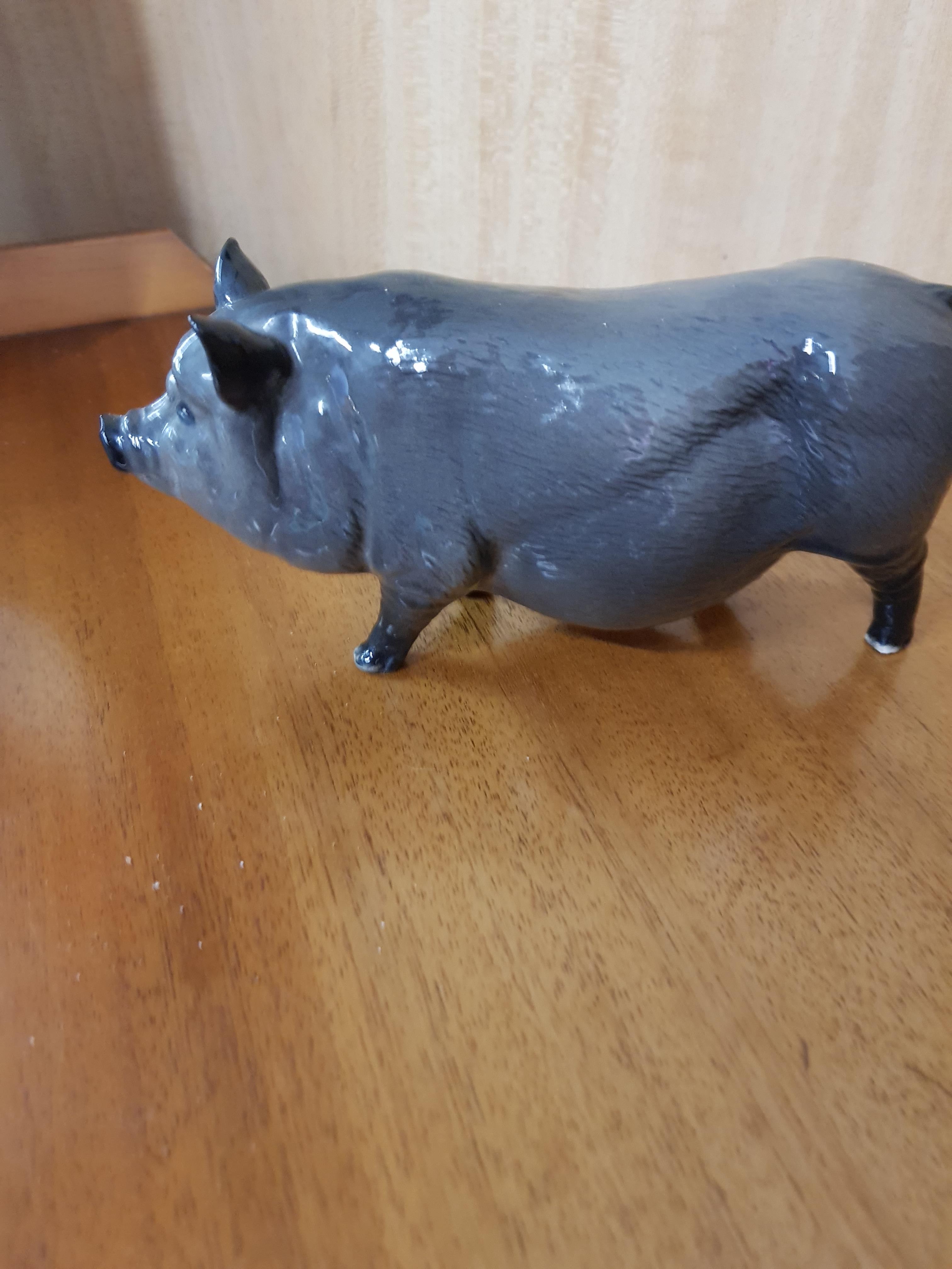 Royal Doulton Pig