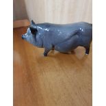Royal Doulton Pig