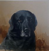 Reuben Ward Binks original signed watercolour, Labrador dog