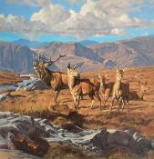Peter Munro Scottish Contemporary artist original signed oil depicting Stag and Hinds at Torridon