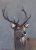 Original oil painting by Peter Munro Born 1954, Exhibited R.S.A, depicting a Stag Head