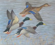 Signed Ralston Gudgeon Scottish RSW (1910 – 1984) watercolour depicting Mallards in Flight