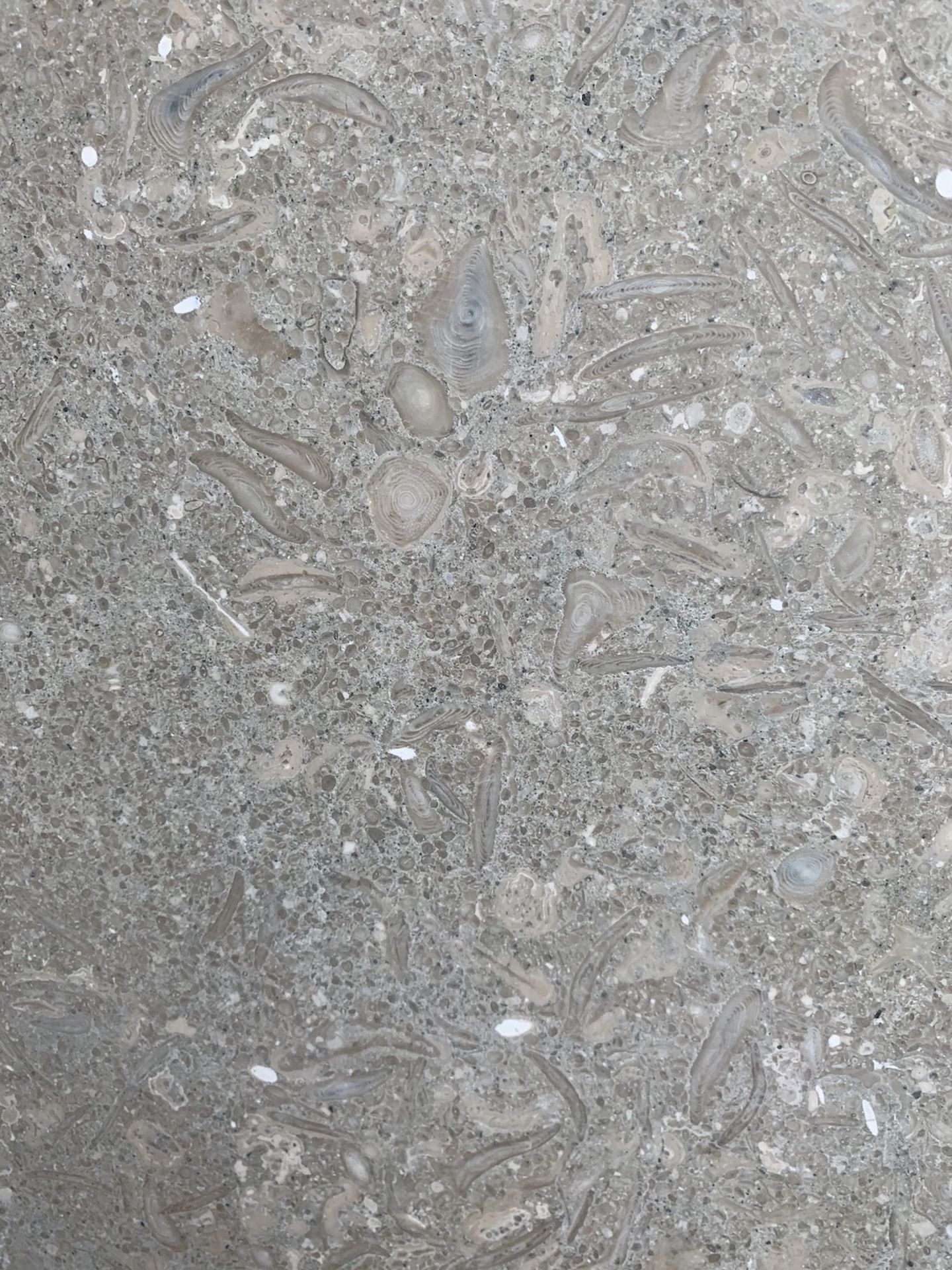 Seagrass Honed Limestone Tiles - 610 x 406mm - Image 2 of 2