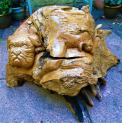 Swamp Wood Carving of a Large Dog Driftwood Chinese Shar-Pei Dogue de Borde 20Kg