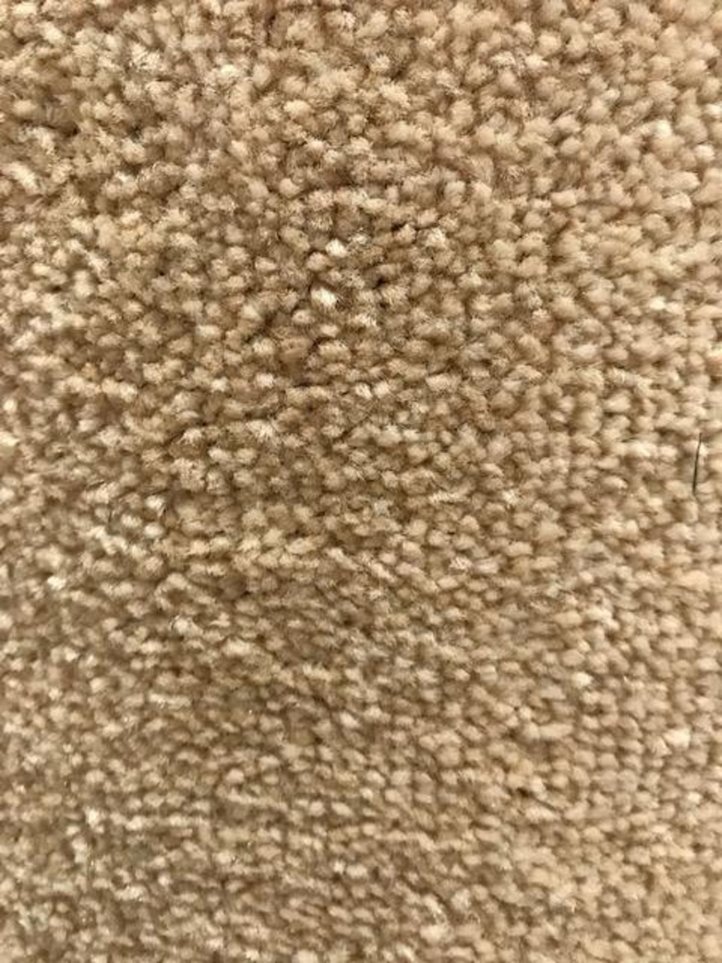 California 25 Carpet 2.7M X 5M