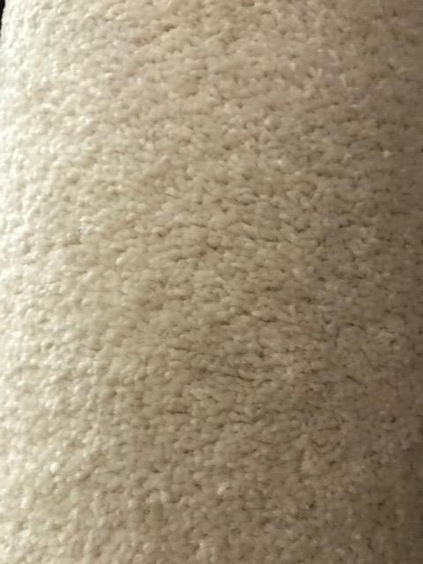 Carpet 3.9M X 4M Soft Ivory
