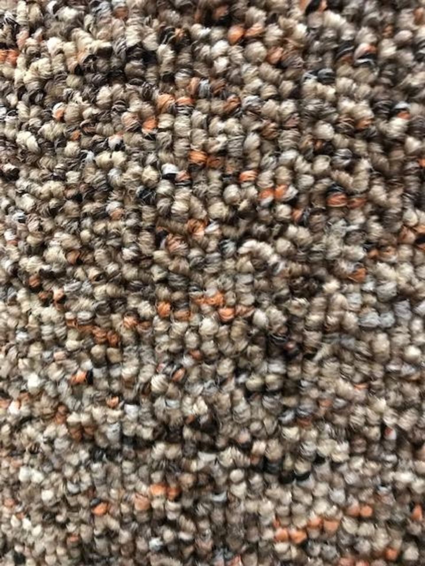 Bellune Pebble Carpet 6.4M X 4M