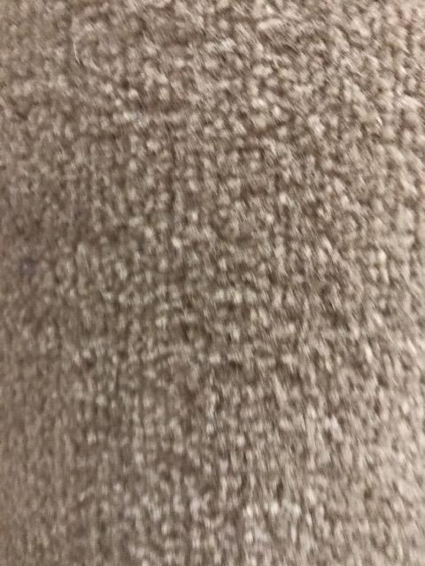 Vantage Doeskin Carpet 3.7M X 4M