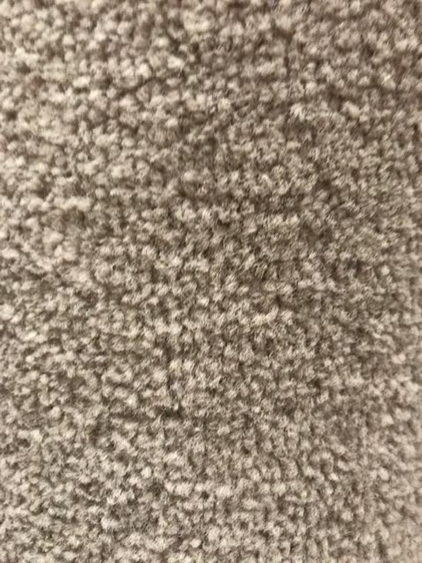 Vantage Tordello Carpet 3.5M X 4M