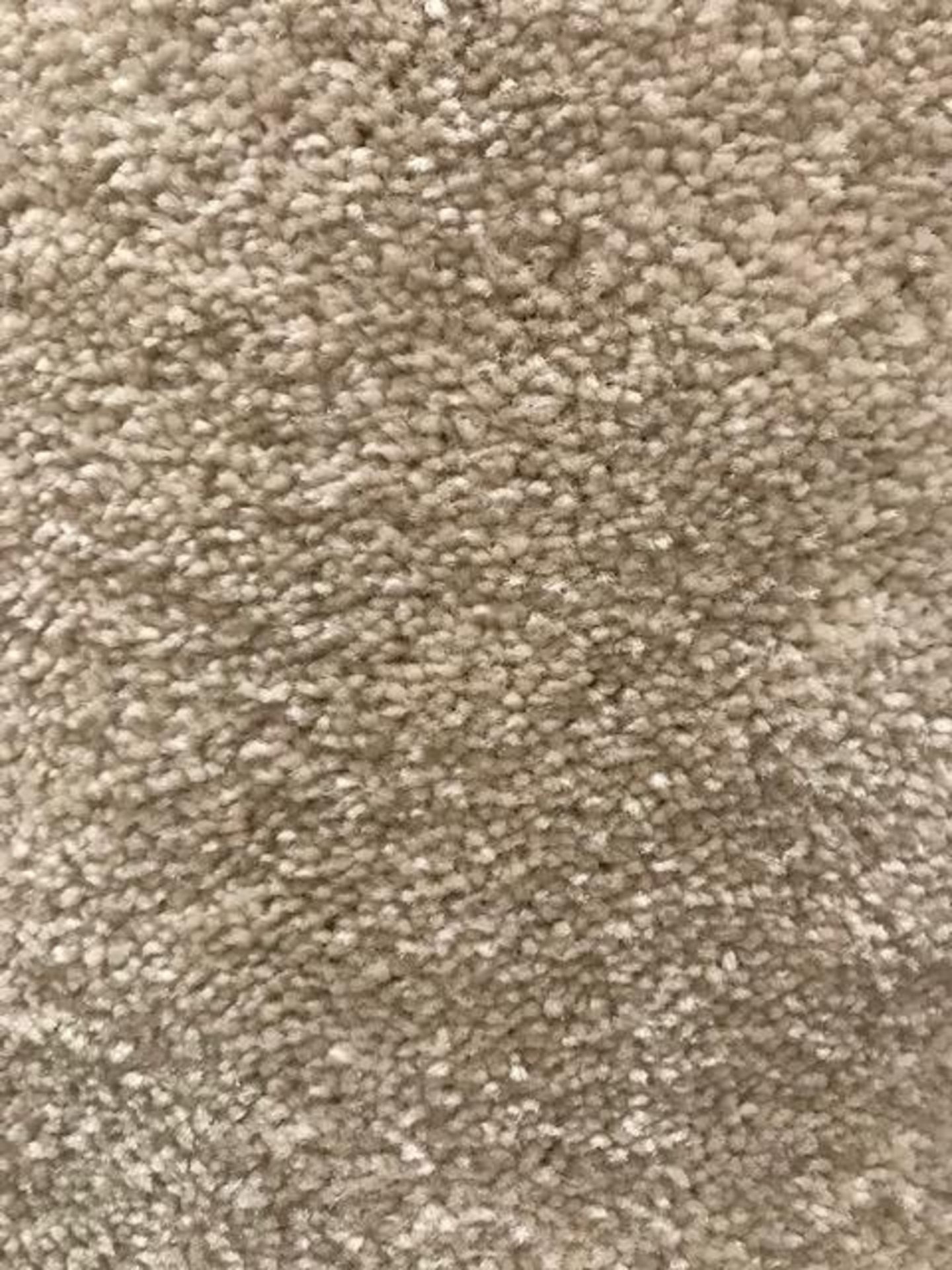 California Cashmere Carpet 2.8M X 5M - Image 2 of 3