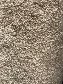 3.8M X 4M Beige Carpet