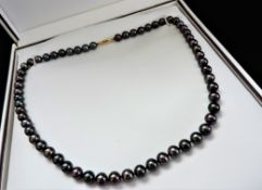 Tahitian Cultured Pearl Necklace 9k Gold Clasp