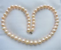 Cultured Pearl Necklace 10mm Pearls