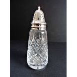 Vintage Silver Plate and Crystal Sugar Shaker