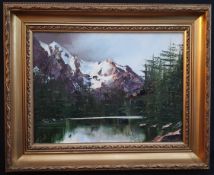 Collectable Framed Art Oil Painting on Board Terry Evans Mountain Landscape