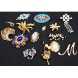Vintage Costume Jewellery Includes Brooches