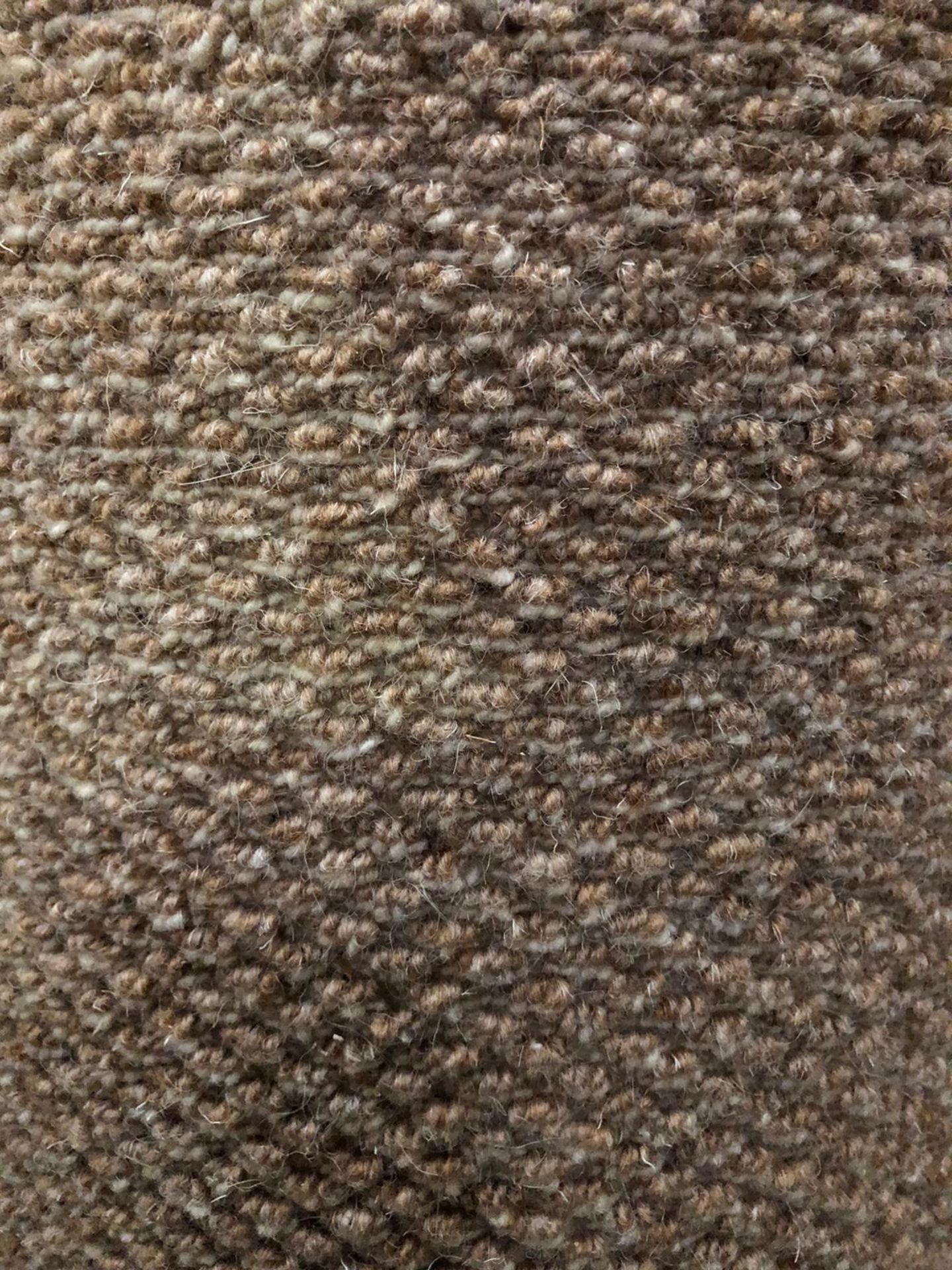 100%Wool Berber Elite Victoria Brown 7.2M X 4M (23Ft 6In X 13Ft ) Hessian Back - Image 2 of 2