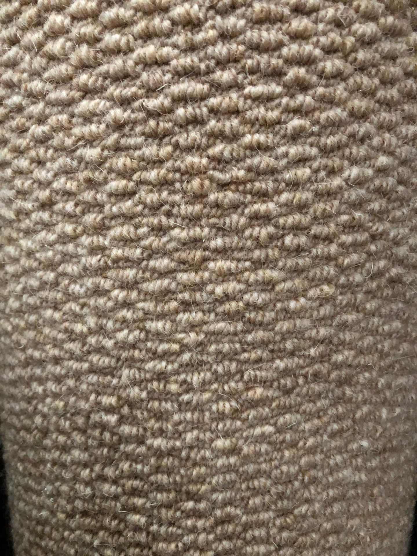 Sahara Kos Beige 4M X4M (13Ftx13Ft) Loopcontract Polypropylene Hessian Back