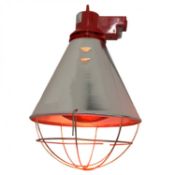 (ZP24) Poultry Heat Incubator Lamp 250W c/w Red Bulb Perfect for birds, ducks, hens, chicken...