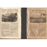 Antique set; Featuring 2 editions of The Dublin Penny Journal published 1882 (#11)