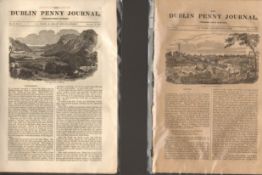 Antique set; Featuring 2 editions of The Dublin Penny Journal published 1882 (#11)