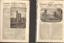 Antique set; Featuring 2 editions of The Dublin Penny Journal published 1882 (#6)