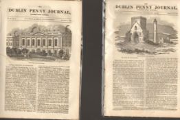 Antique set; Featuring 2 editions of The Dublin Penny Journal published 1882 (#8)