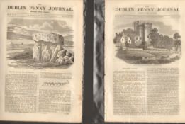 Antique set; Featuring 2 editions of The Dublin Penny Journal published 1882 (#28)